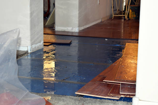 Professional Burst Pipe Cleanup technician working in Remington, IN